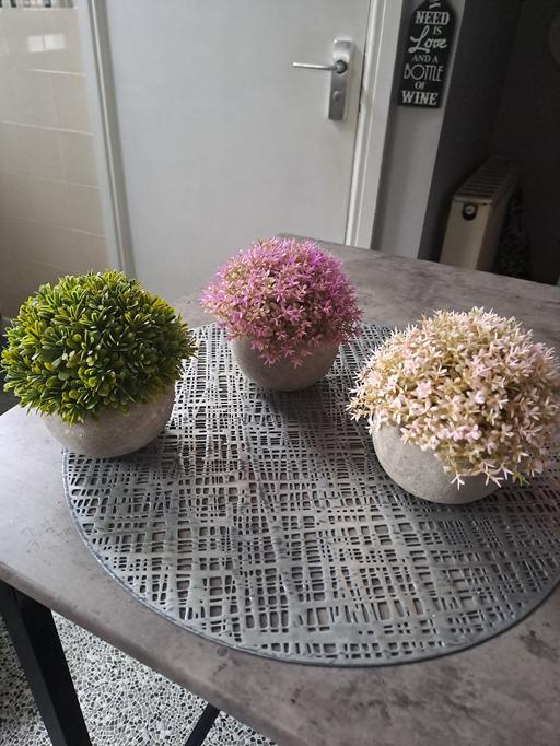 Buy & Sell Gleadless Valley Sheffield - Photos for 3 artificial plants