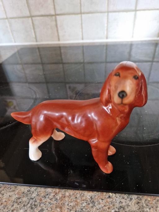 Buy & Sell Grassmoor North East Derbyshire - Photos for collectors pot dog