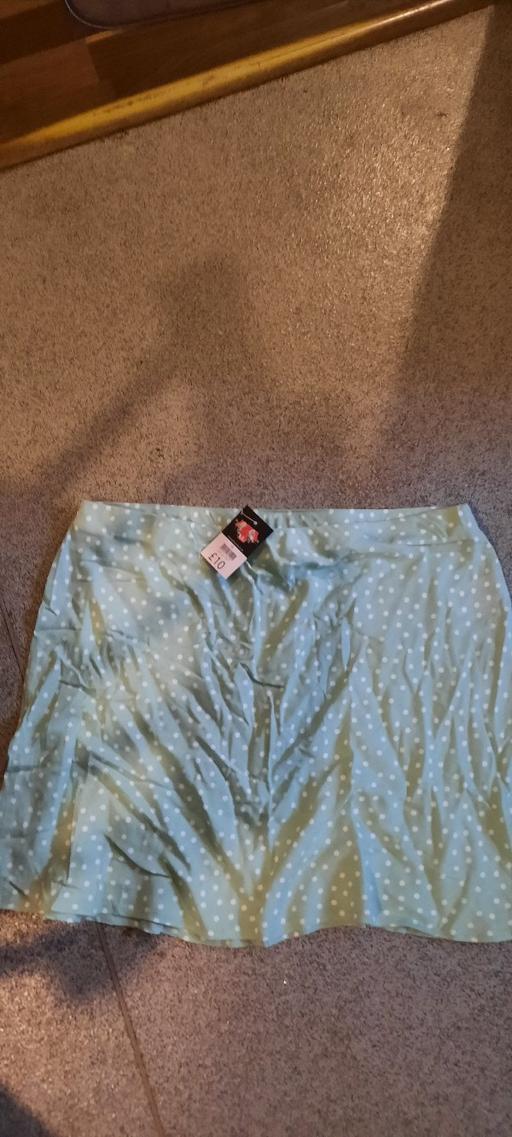 Buy & Sell Leagrave Luton - Photos for brand new skirt