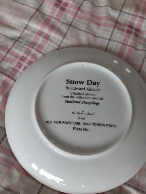 Buy & Sell Weston-Super-Mare North Somerset - Photos for Shetland sheepdog collectors plate