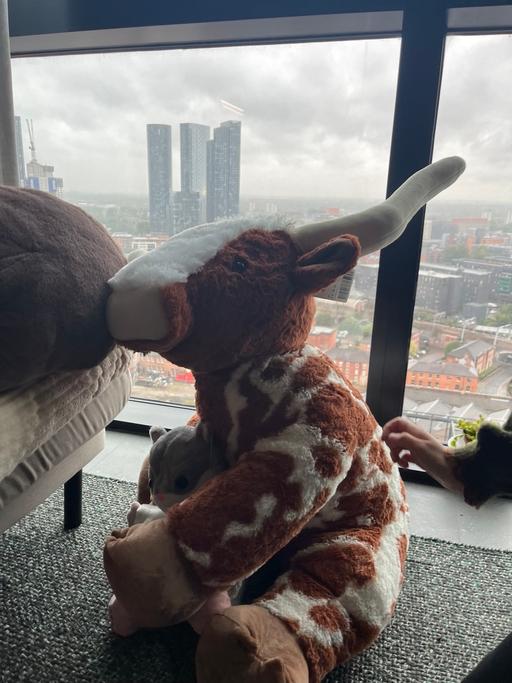 Buy & Sell Salford Salford - Photos for Build-a-Bear Jumbo Highland Cow