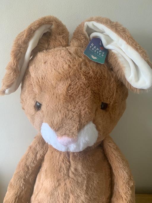 Buy & Sell Woodsetton Dudley - Photos for New Easter rabbit