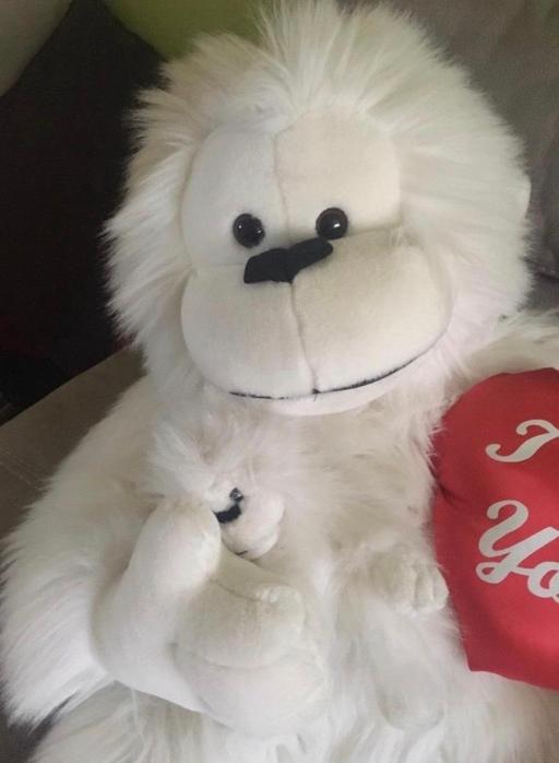 Buy & Sell Fordhouses Wolverhampton - Photos for Love Valentines gift teddy 
