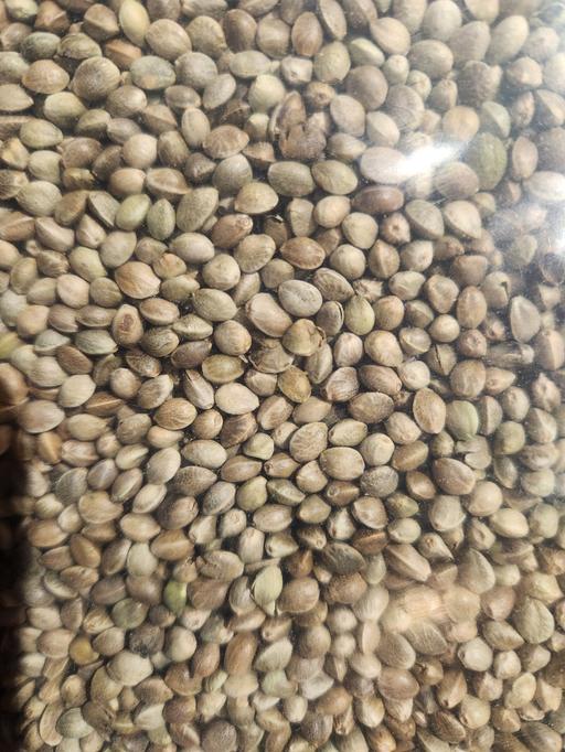 Buy & Sell Upper Gornal Dudley - Photos for 800g pack of unprepared hempseed