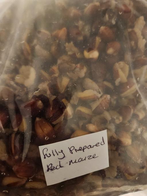 Buy & Sell Dudley Town Centre Dudley - Photos for 800g fully prepared red maize