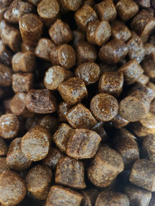 Buy & Sell Woodsetton Dudley - Photos for 11mm belachan flavoured sinking pellets