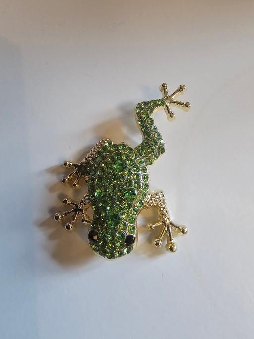 Buy & Sell Pilsley North East Derbyshire - Photos for lovely frog brooch