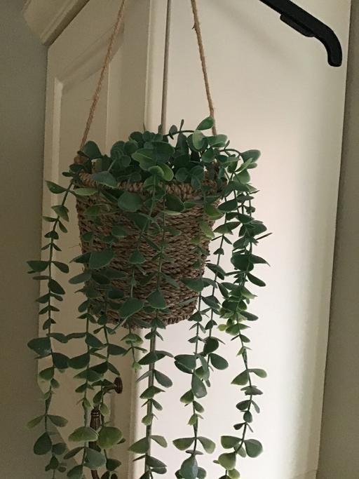 Buy & Sell Ravenstone North West Leicestershire - Photos for Fake Hanging Plant