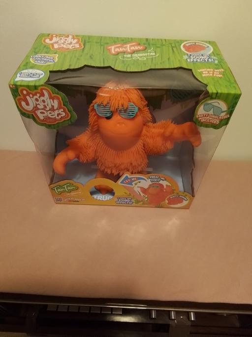 Buy & Sell Oaken South Staffordshire - Photos for Jiggle pets.