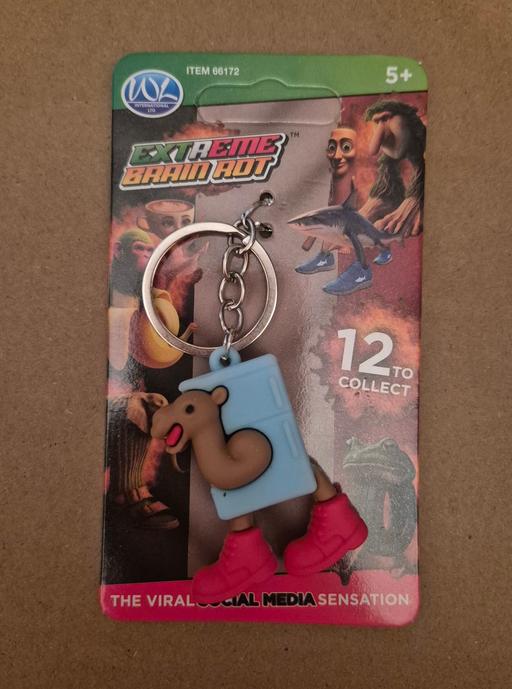 Buy & Sell Crumpsall Manchester - Photos for new Brainrot Frigo Camelo Keychain