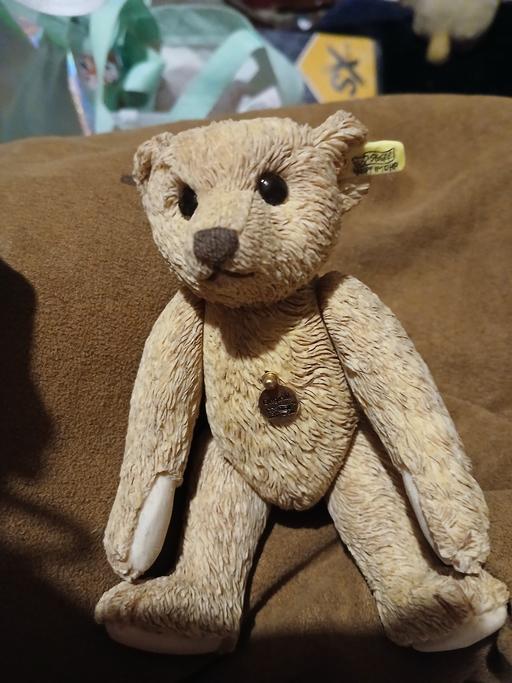 Buy & Sell Netherton Dudley - Photos for miniature stief bear