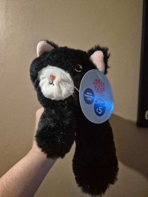 Buy & Sell Crumpsall Manchester - Photos for new Cat Plush But Moveable Pencil Case