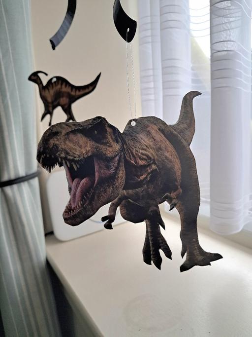 Buy & Sell Seacroft Leeds - Photos for dinosaur party supplies + more