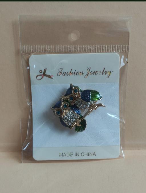 Buy & Sell Grafton Street Industrial Estate West Northamptonshire - Photos for New beautiful owl brooch