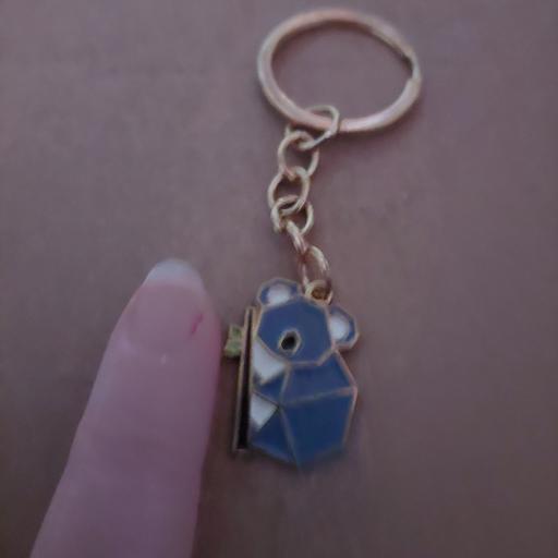 Buy & Sell Wednesbury Sandwell - Photos for keyring x 1 new