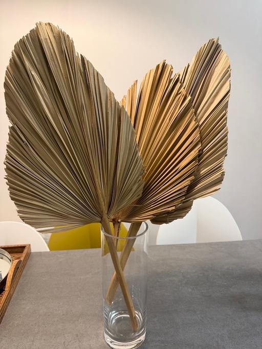 Buy & Sell Stoke Newington North London - Photos for 3 natural palm leaves