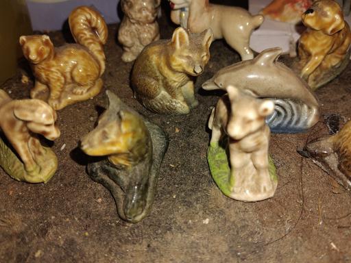 Classes Park Farm Industrial Estate Redditch - Photos for Wade different small animal collection p