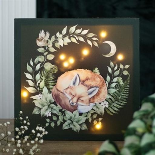 Buy & Sell Crewe Cheshire East - Photos for Sleeping Fox Light Up Canvas Plaque