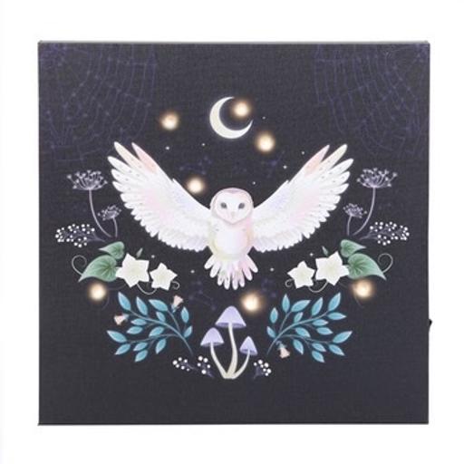 Buy & Sell Crewe Cheshire East - Photos for Night Owl Light Up Canvas Plaque