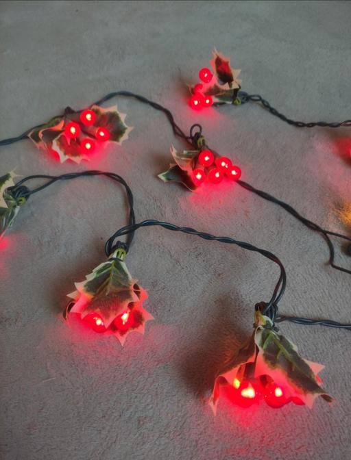 Buy & Sell Grafton Street Industrial Estate West Northamptonshire - Photos for 50 red berry whole leaf light