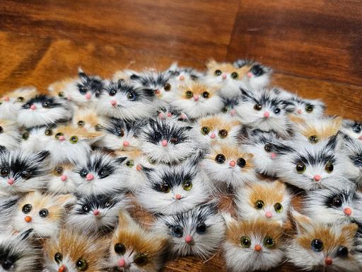 further learning Bradmore Wolverhampton - Photos for 400 Crafting cats