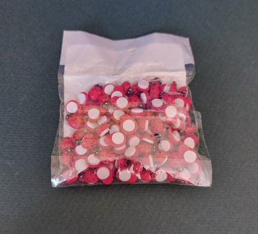 further learning Acol Thanet - Photos for 100 X LADYBIRDS