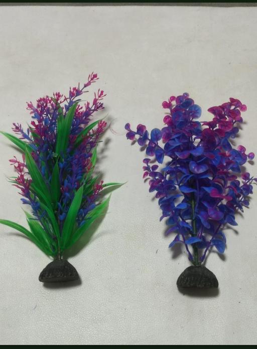 Buy & Sell Grafton Street Industrial Estate West Northamptonshire - Photos for Artificial aquarium plants