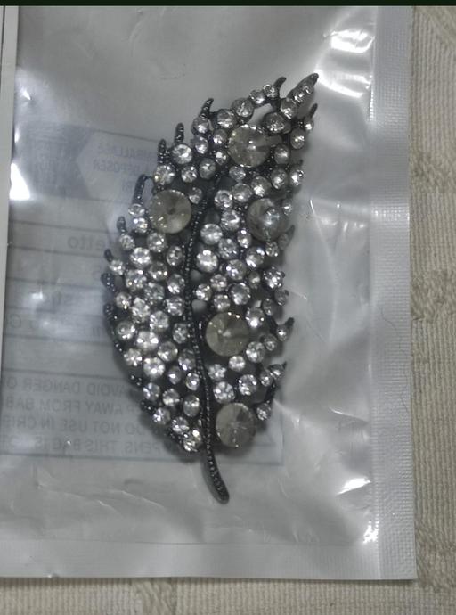 Buy & Sell Grafton Street Industrial Estate West Northamptonshire - Photos for Beautiful brooch