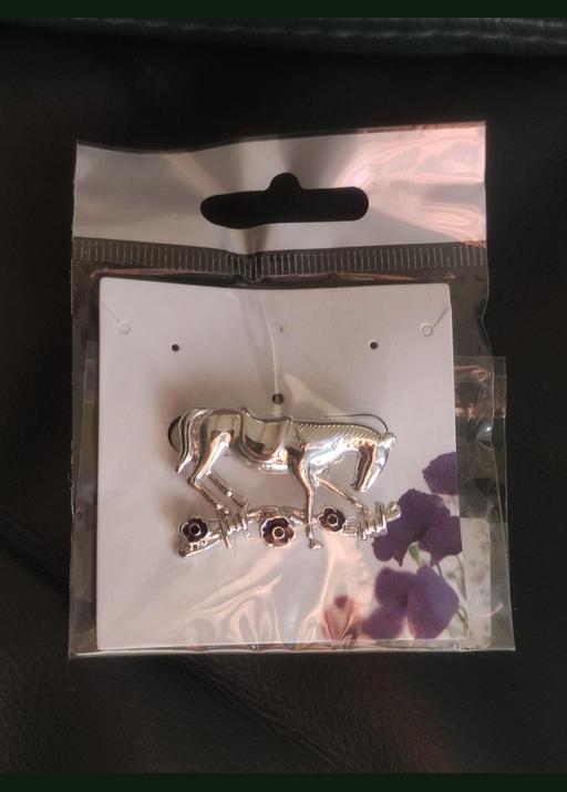 Buy & Sell Grafton Street Industrial Estate West Northamptonshire - Photos for Beautiful horse brooch