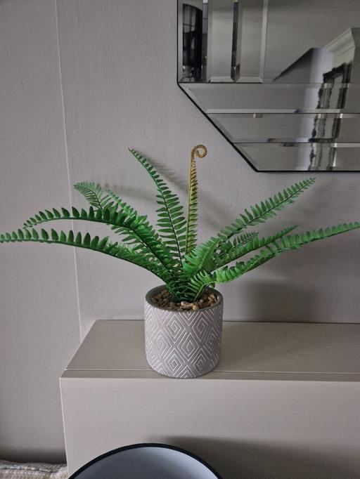 Buy & Sell Scholes Rotherham - Photos for Artificial plant with grey pot