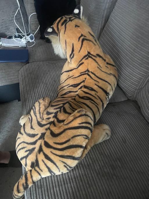 Buy & Sell Westcliff-on-Sea Southend-on-Sea - Photos for Big tiger