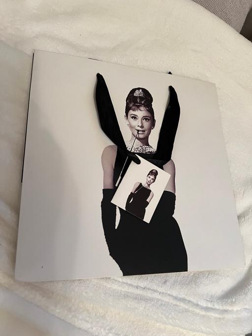 Buy & Sell Easington Lane Sunderland - Photos for Audrey Hepburn Gift Bag ( New )