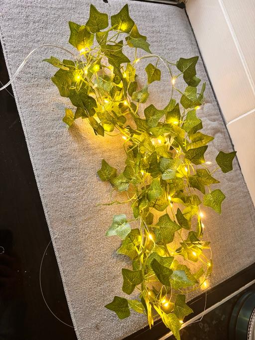 Buy & Sell Moss Pit Stafford - Photos for Ivy string lights