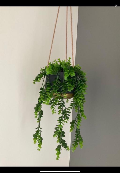 Buy & Sell Telford Way Industrial Estate North Northamptonshire - Photos for Artificial hanging plant