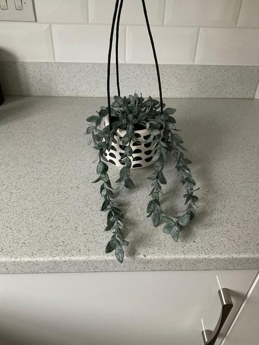 Buy & Sell Telford Way Industrial Estate North Northamptonshire - Photos for Next faux hanging plant