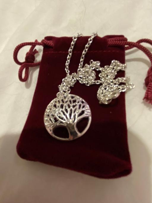 Buy & Sell Wingerworth Chesterfield - Photos for Necklace