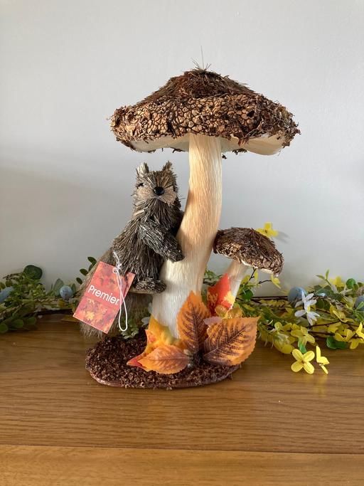 Buy & Sell Sedgley Dudley - Photos for Straw ornament