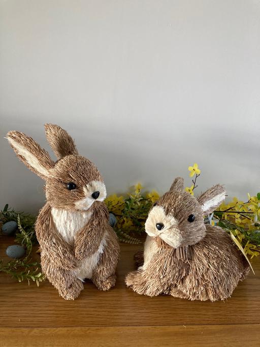 Buy & Sell Sedgley Dudley - Photos for Easter rabbits