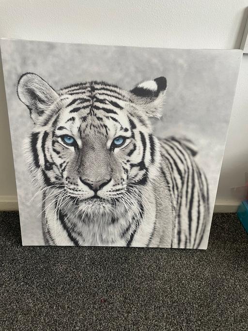 Buy & Sell Sidemoor Bromsgrove - Photos for Picture