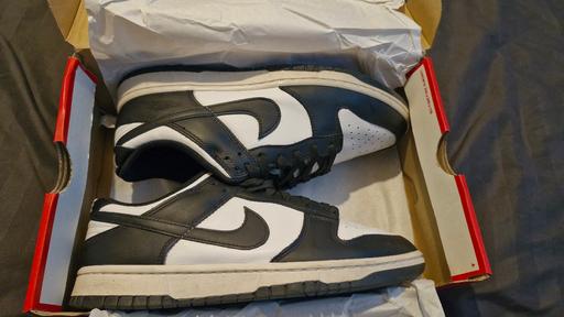 Buy & Sell Seasalter Canterbury - Photos for Nike low dunks size 8