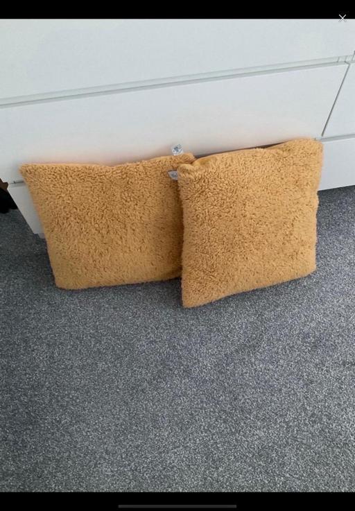 Buy & Sell Telford Way Industrial Estate North Northamptonshire - Photos for Pair of genuine teddy cushions