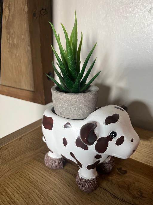 Buy & Sell Conisbrough Doncaster - Photos for Pot and artificial plant