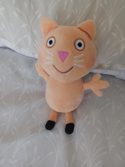 Buy & Sell Eckington North East Derbyshire - Photos for ty candy cat from peppa pig
