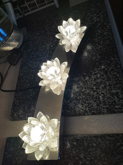 Buy & Sell Park Hill Sheffield - Photos for lotus 🪷 light from next