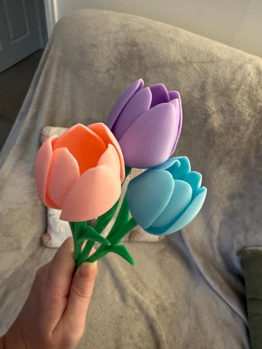 Buy & Sell Ushaw Moor County Durham - Photos for Set of 3 tulips 3d printed