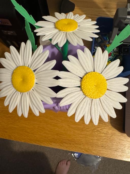Buy & Sell Ushaw Moor County Durham - Photos for Set of 3 daisy flowers 3d printed