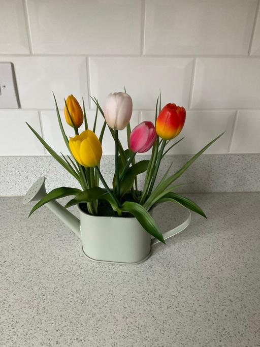 Buy & Sell Telford Way Industrial Estate North Northamptonshire - Photos for Next faux flowers in metal watering can
