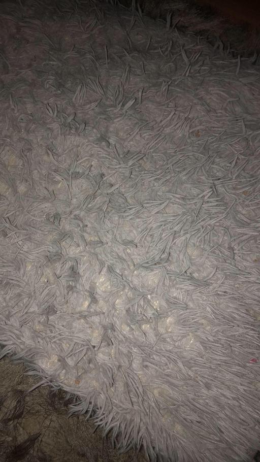 Buy & Sell Stow Heath Wolverhampton - Photos for Grey shaggy rug