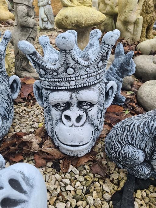 Buy & Sell Moseley Birmingham - Photos for Gorilla Planter