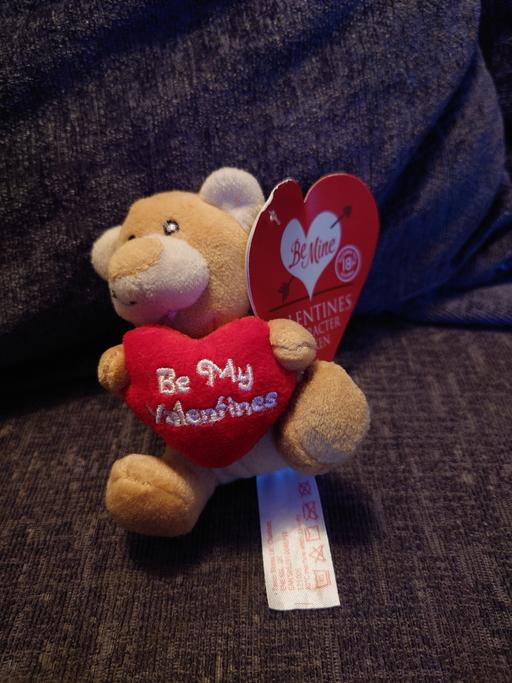 Buy & Sell Woodthorpe Charnwood - Photos for Small valentine teddy